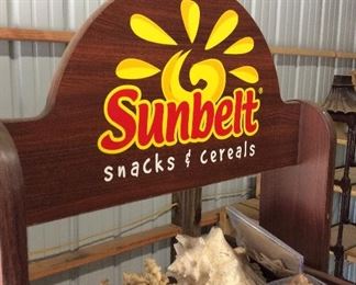 Large Sea Shell Collection 