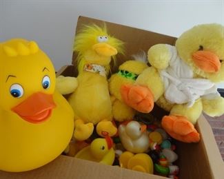 Pick a Duck!