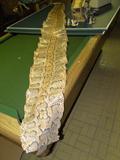 Python skin