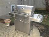 Weber Genesis