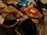 Edwardian & other hats