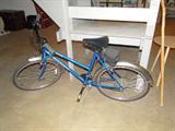Schwinn