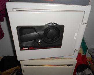 Sentry Safe