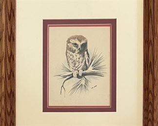 Small Art Lamay Owl Print In Custom Frame