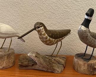 Herb Daisy Jr. Canadian Goose, Herron, And More