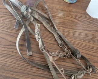 WW1 calvary  possible 