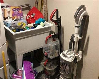 Cat care items (inside wash tub). Hoover Elite Power Scrub Pet Carpet Cleaner, Shark Professional Upright Bagless Vacuum.