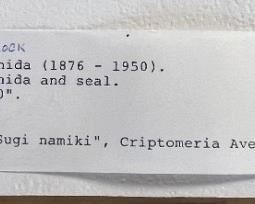 Hiroshi Yoshida Cryptomeria Avenue (Sugi namiki) Japanese Wood Block Print Framed 21 x 16in