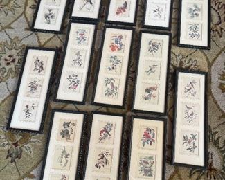 All Birds Framed Prints