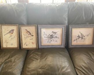 Bird Prints