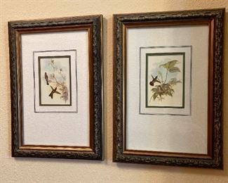 Framed Bird Prints