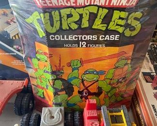 Teenage Mutant Ninja Turtles Collectors Case