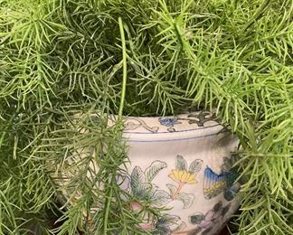 Small Oriental Jardiniere