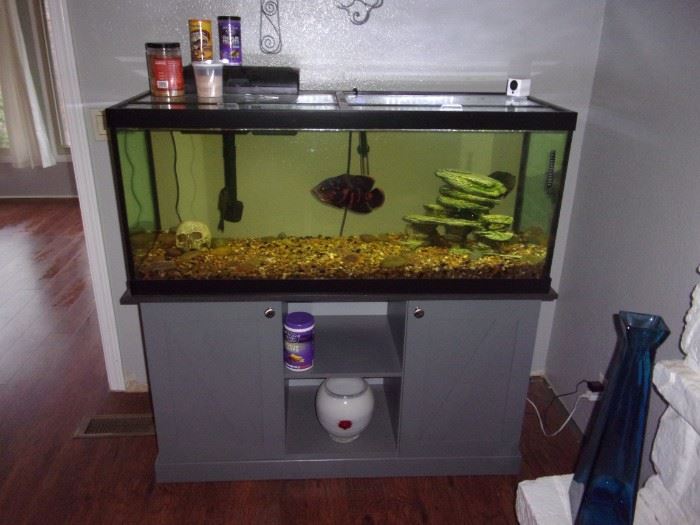 75 Gallon Tank Everything For 400.00 