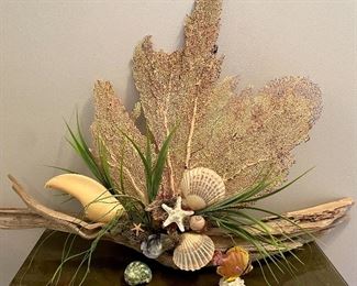 Item 4:  Driftwood with Fan Coral & White Lobster Claw - 31" x 19": $24