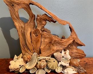 Item 127:  Driftwood Sculpture with Shells - 11.5": $45