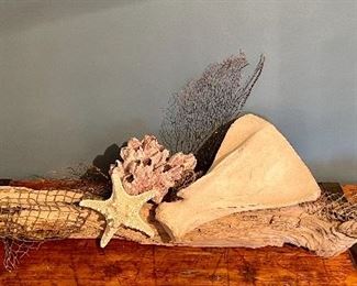Item 128:  Driftwood Sculpture with Coral, Barnacles & Starfish - 43":  $22