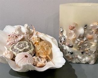 Item 155:  Lot of assorted seashells & a flameless seashell candle:  $32