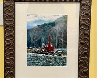 Item 402:  Framed Photograph (Buoy) - 16" x 18.5": $28