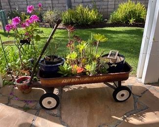 Succulent plant wagon.