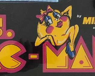 Ms PAC-Man cocktail arcade game
Detail
