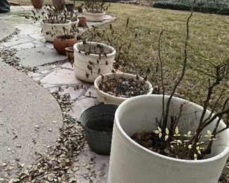 fabulous planters -pottery planters  -assorted sizes-  bring a dolly- these are not small !!