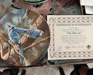 Kevin Daniel's Birds of Your Garden Collection