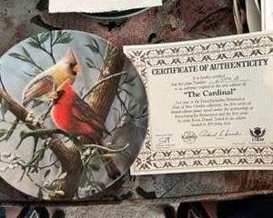 Kevin Daniel's Birds of Your Garden Collection