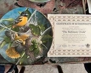 Kevin Daniel's Birds of Your Garden Collection