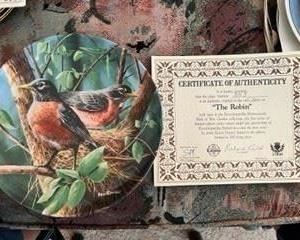 Kevin Daniel's Birds of Your Garden Collection