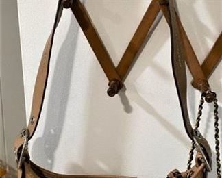 ANOTHER COACH PURSE.