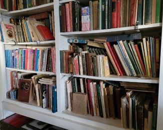 Big library of childrens and doll related books