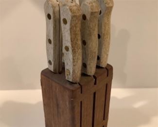 Knife set in wooden block