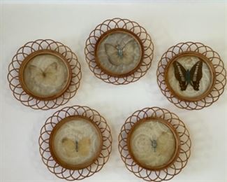 Butterfly Coasters
