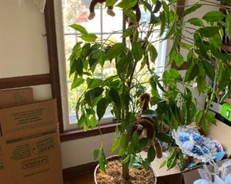 Potted artificial plant.