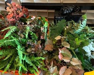 buckets of nice greenery