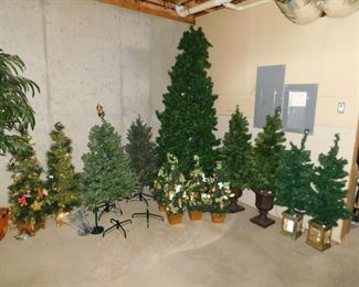 Holiday Trees