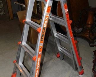 Folding Ladder