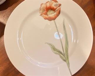 14 Fitz and Floyd “Pastel Poppy” dinner plates