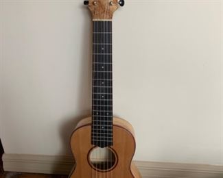 Cordoba 30 inch mini travel guitar with case