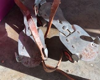 old skates