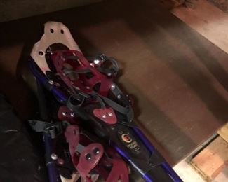 snow shoes