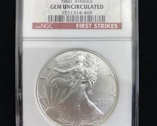  2006 American Silver Eagle, NGC First Strike