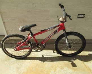 Redline Kids Bicycle