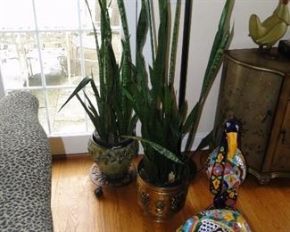 Multicolor Flamingos and Plants