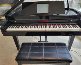 Van Koevering VIP-1950 Interactive Baby Grand Piano.