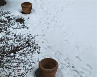 A pair of large Pots.
