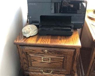Oak 2 Drawer File Cabinet