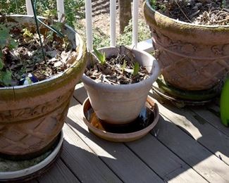 planters and plant pots