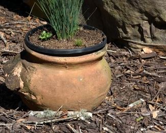 terracotta pot with lizard
